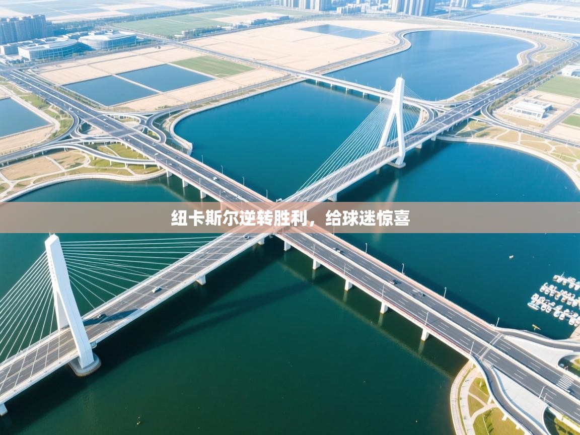 开云数据-纽卡斯尔逆转胜利,给球迷惊喜 第2张