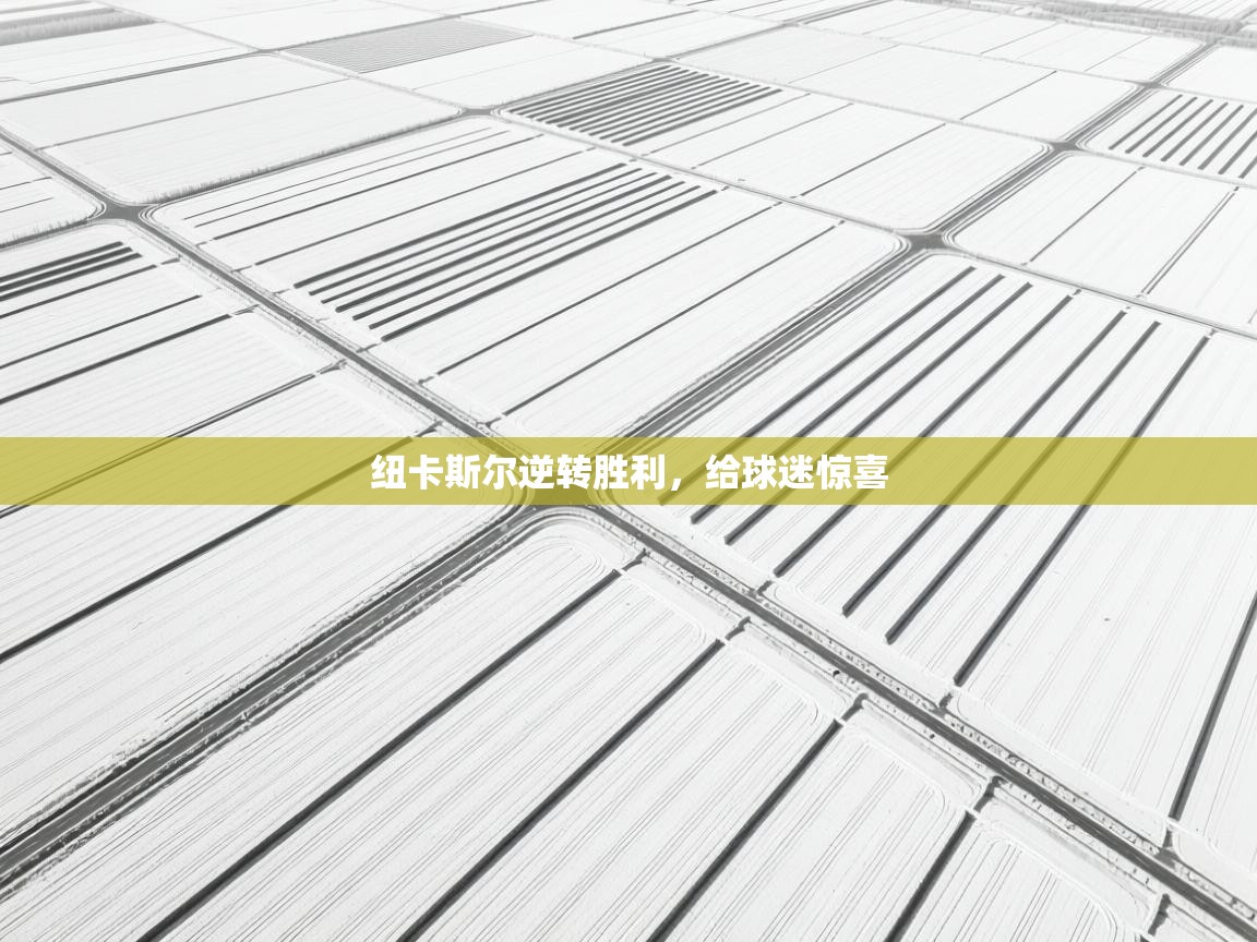 开云数据-纽卡斯尔逆转胜利,给球迷惊喜 第1张