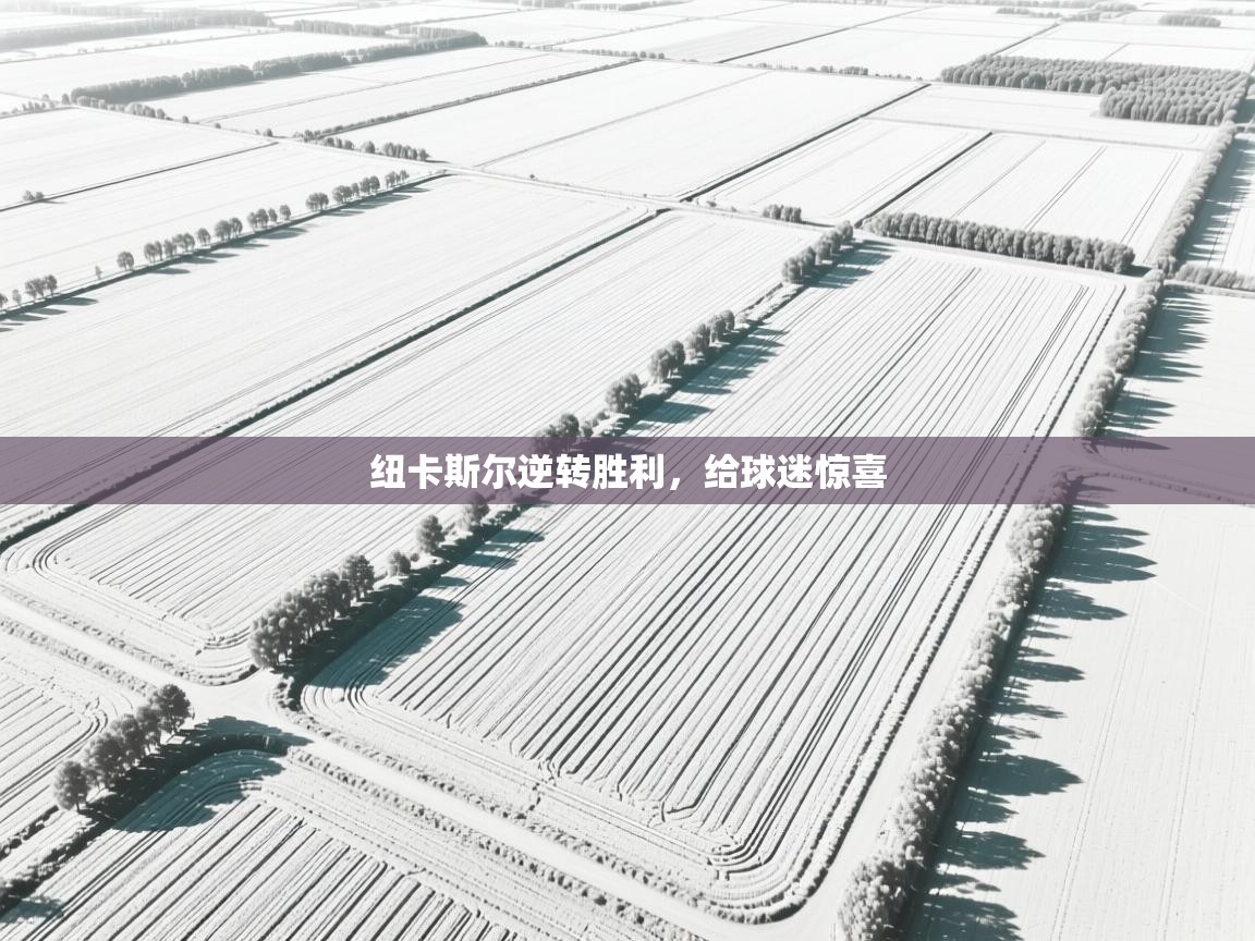 开云数据-纽卡斯尔逆转胜利,给球迷惊喜 第3张