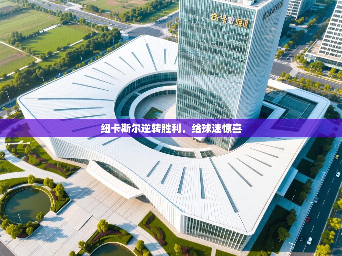 开云数据-纽卡斯尔逆转胜利,给球迷惊喜 第4张