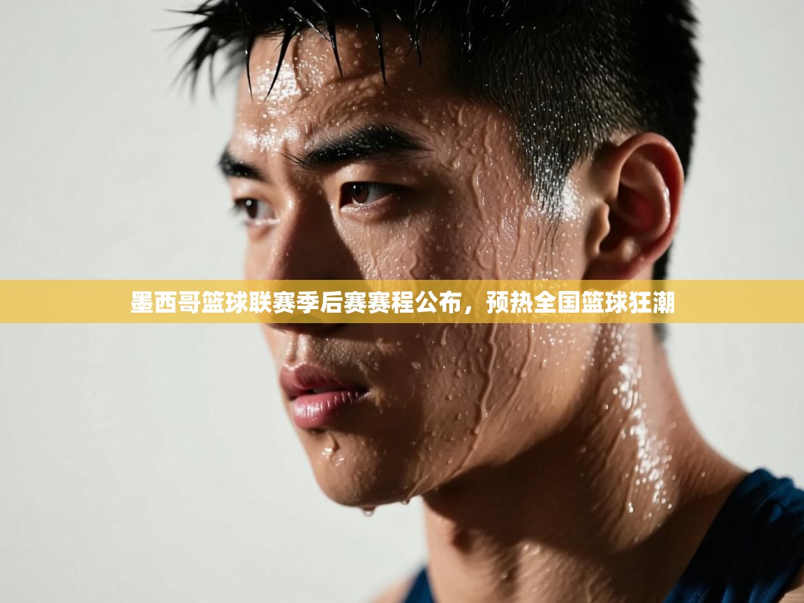 开云体育直播平台-墨西哥篮球联赛季后赛赛程公布，预热全国篮球狂潮